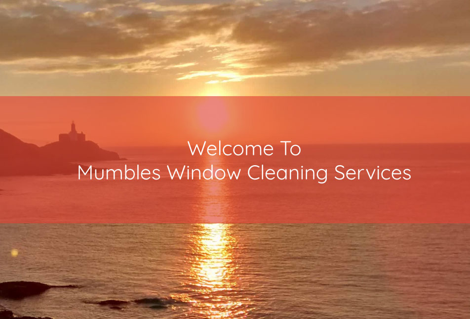 Mumbles Window Cleaning Services