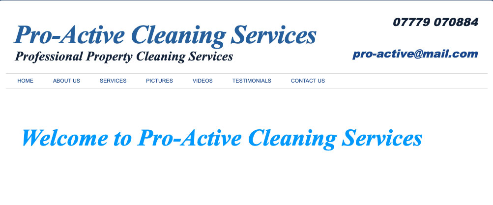 pro-active cleaning services